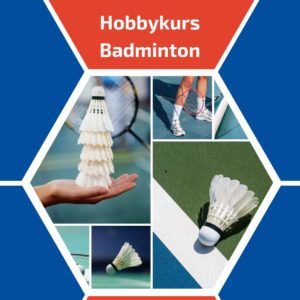 Mehr über den Artikel erfahren Badmintonkurs für Hobbyspieler!