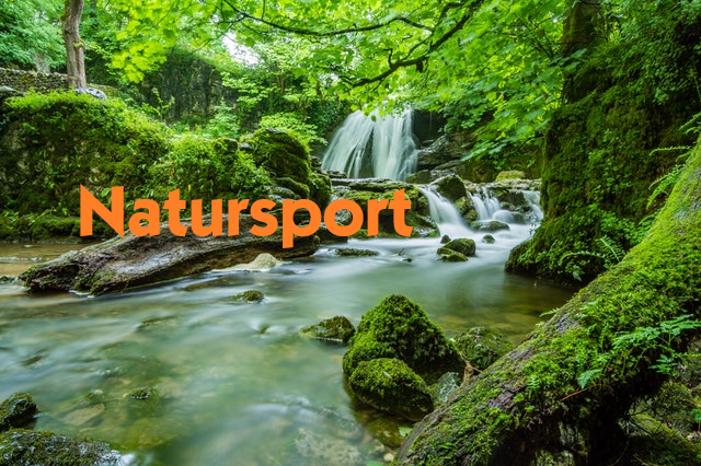 Read more about the article NATURSPORT | Sportwandern